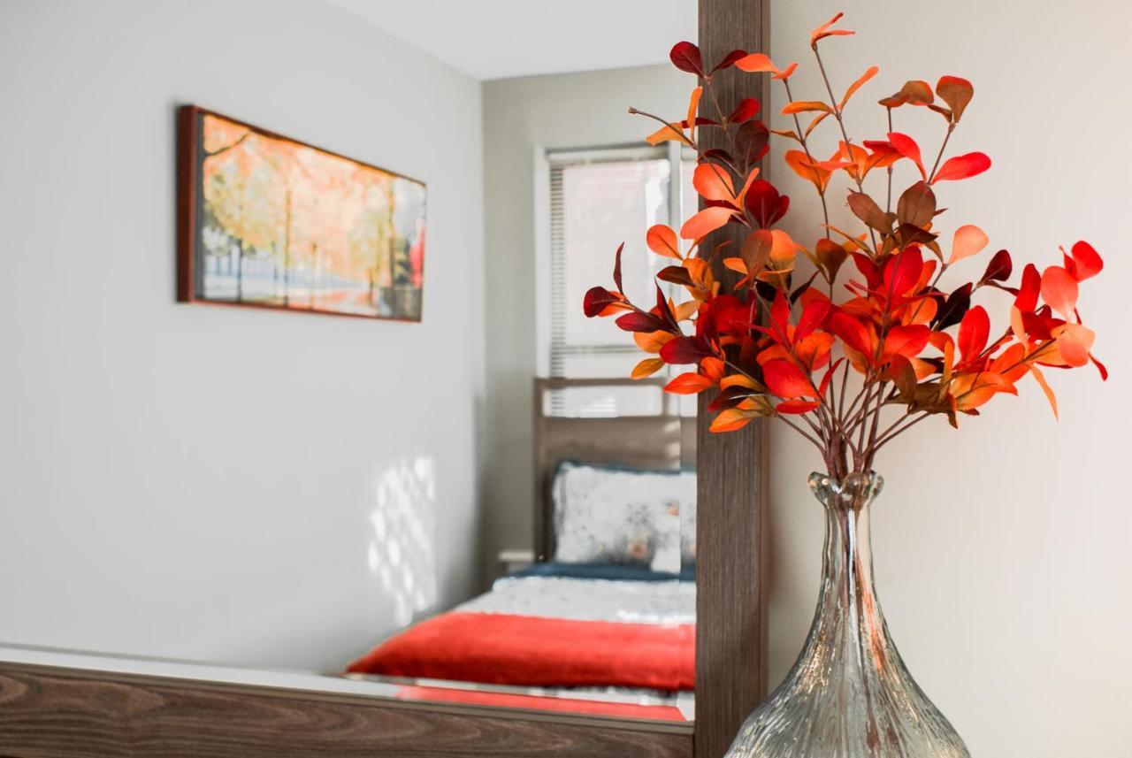 Lovely 2Br Apartment By Wooster Square- Great Neighborhood New Haven Εξωτερικό φωτογραφία